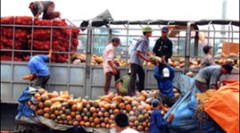 Farm produce exports hit US$6.56 bln in Q1
